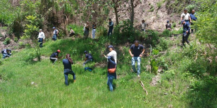 Lanzan campaña Reforestando Atitlán para un Futuro Verde