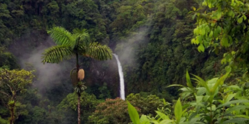 Trópicos, tesoros de diversidad biológica mundial