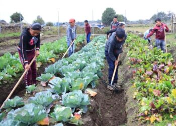 Día Mundial de la Inocuidad de los Alimentos 2023