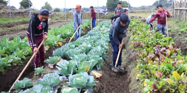 Día Mundial de la Inocuidad de los Alimentos 2023