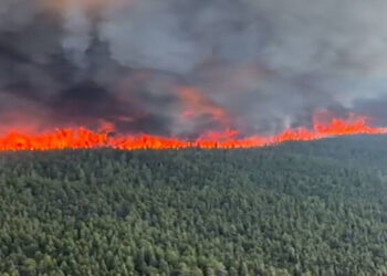 Humo de incendios de Canadá vuelve a asfixiar ciudades como Washington DC y Chicago