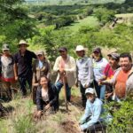 Continúan impulsando programas de reforestación en el territorio