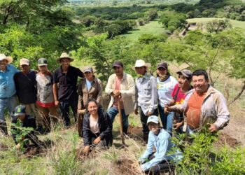 Continúan impulsando programas de reforestación en el territorio