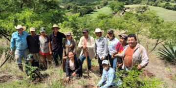 Continúan impulsando programas de reforestación en el territorio