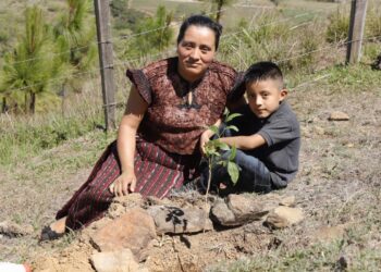 Primer “Viernes de Reforestación” reúne a decenas de voluntarios