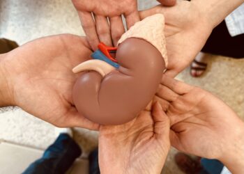 La donación de órganos salva vidas.