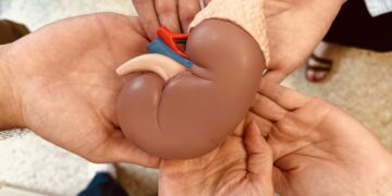 La donación de órganos salva vidas.