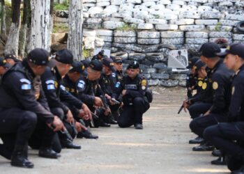 Se anuncia nuevo proyecto de adquisición de polígonos de tiro virtual