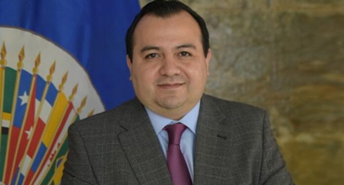 El guatemalteco Stuardo Ralón Orellana. /Foto: OEA.