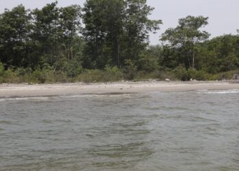 Efectiva labor del MARN en la desembocadura del río Motagua