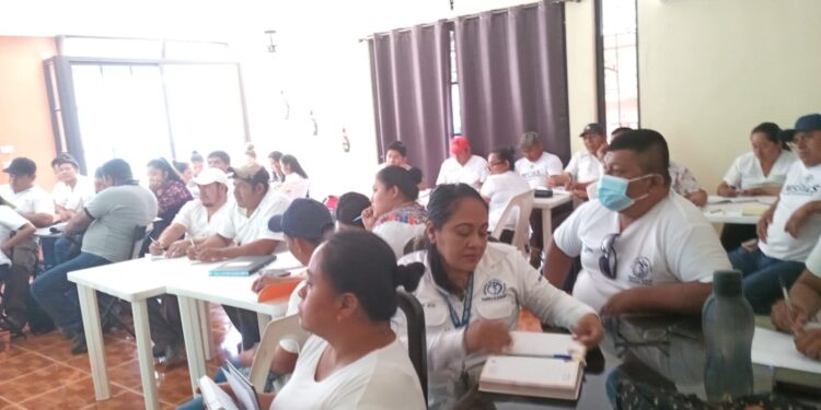 Personal de Salud de Fray Bartolomé de las Casas recibe capacitación sobre leishmaniasis