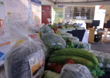 Alimentación escolar da cobertura a 25 días de clases. /Foto: Gilber García