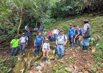 Fortalecen campañas de reforestación en Alta Verapaz