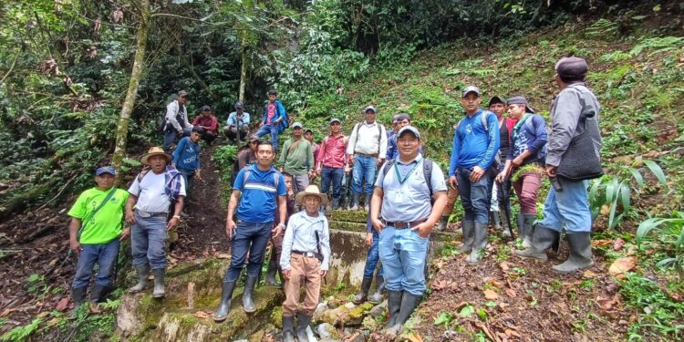 Fortalecen campañas de reforestación en Alta Verapaz