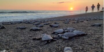 Dia mundial de los océanos