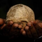 Los parientes evolutivos humanos se masacraban unos a otros