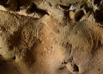 El hallazgo ocurrió en la cueva de La Roche-Cotard en Francia / Foto: Jean-Claude Marquet.