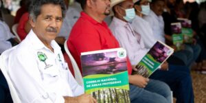 Gobierno ha entregado más de 71 mil hectáreas de concesiones forestales