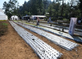 Escuela técnica de campo en Santa María Nebaj, Quiché. /Foto: Carlos Jacinto