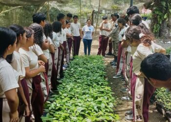 Izabal conmemora el Día Mundial del Medio Ambiente
