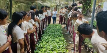 Izabal conmemora el Día Mundial del Medio Ambiente