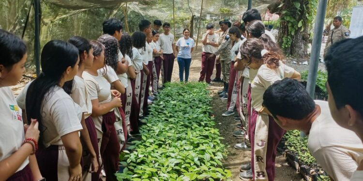 Izabal conmemora el Día Mundial del Medio Ambiente