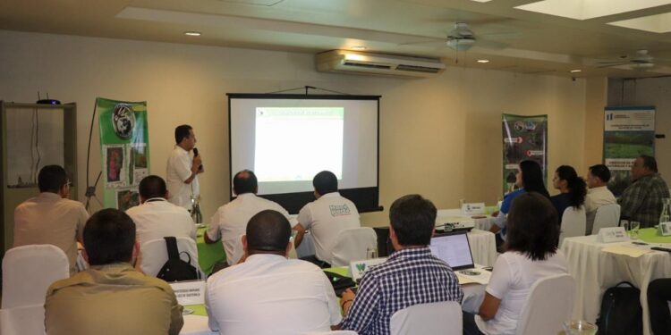 Desarrollan Mesa de Ganadería Sostenible en Petén