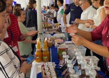 Las Mipymes constituyen un sector relevante para el país.