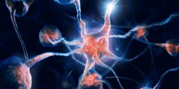 La inteligencia artificial podría revolucionar las tecnologías para descodificar el cerebro.