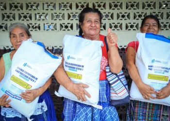 Beneficiarán a más de 96 mil agricultores con semilla certificada de maíz y frijol