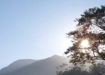 El solsticio de verano es el día más largo y la noche más corta.