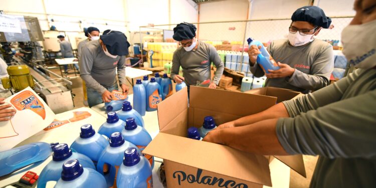 Polanco está enfocada en productos de lavandería e higiene para el hogar.