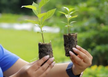 Iniciativa busca preservas sitios turísticos del país. /Foto: Inguat