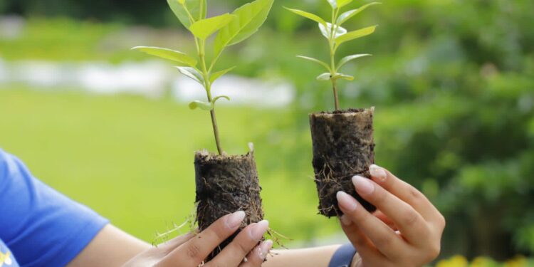 Iniciativa busca preservas sitios turísticos del país. /Foto: Inguat