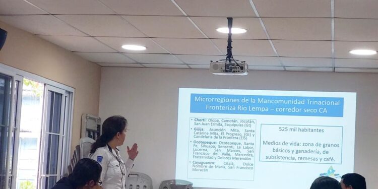 Garantizan mejores decisiones relativas a seguridad alimentaria y nutricional