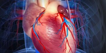 El estudio relaciona el latido del corazón con las células gliales. / Foto: Academia Nacional de Medicina de Colombia.
