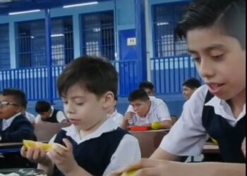 Alimentación Escolar