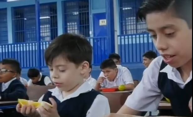 Alimentación Escolar