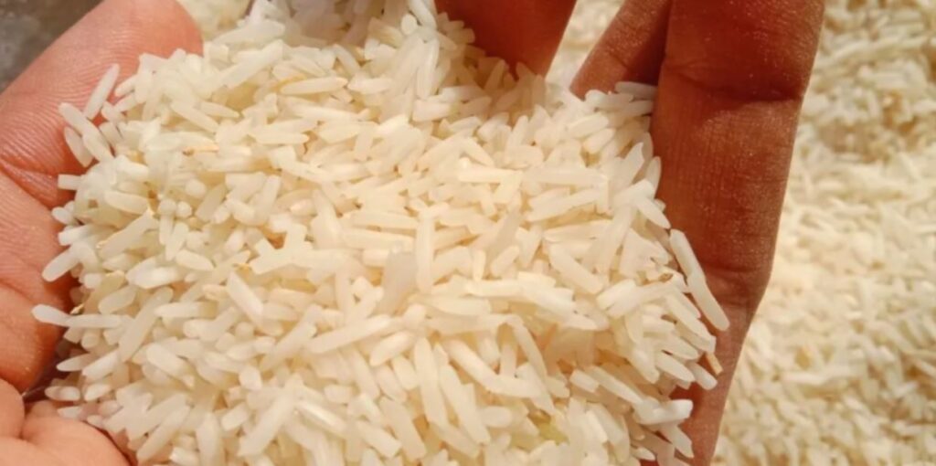 Arroz blanco