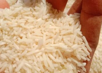 Arroz blanco