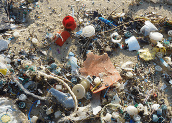 Los residuos y desechos sólidos deben separarse en siete categorías desde el 11 de agosto. / Foto: DCA.