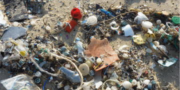 Los residuos y desechos sólidos deben separarse en siete categorías desde el 11 de agosto. / Foto: DCA.