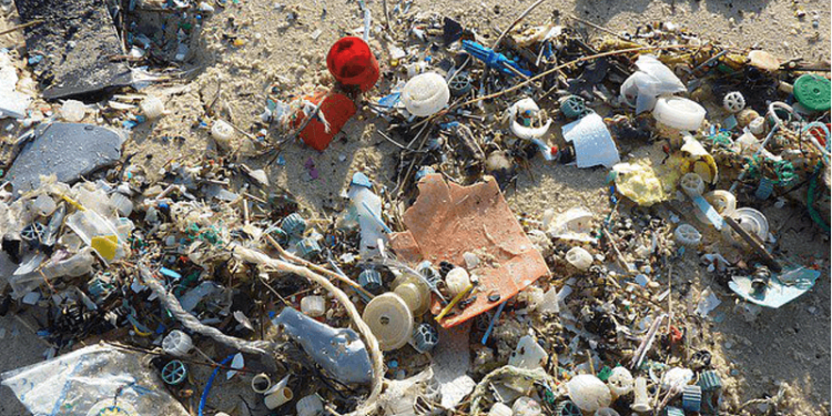 Los residuos y desechos sólidos deben separarse en siete categorías desde el 11 de agosto. / Foto: DCA.