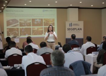 Delegados departamentales fortalecen sus capacidades en planificación y programación