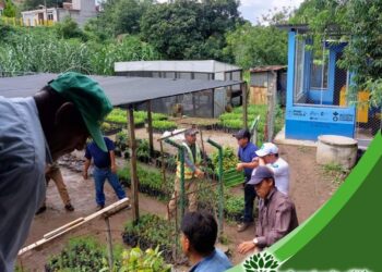Entregan 36 mil árboles como parte de la campaña Reforestando Atitlán