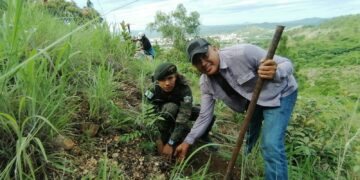 El Ejército de Guatemala promueve actividades de reforestación en distintos departamentos del país.