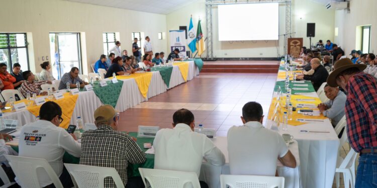 El departamento de Guatemala ha superado más del 50 % de ejecución de fondos de Codede