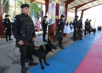 La unidad canina K-9 de la PNC brindan seguridad en el país