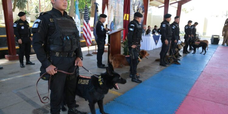 La unidad canina K-9 de la PNC brindan seguridad en el país