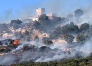 El Papa pide “esfuerzos valientes” ante el desafío del cambio climático tras los incendios